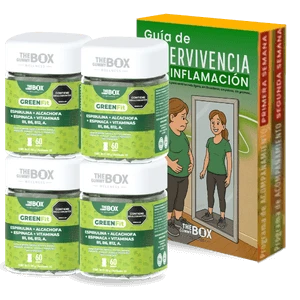 3xJugo Verde En Gomitas + 1 Unidad Extra GRATIS + Guía De Supervivencia A La Inflamación GRATIS